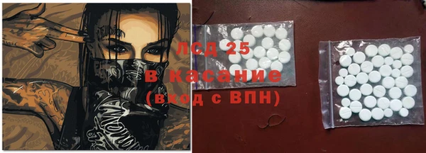 крисы Абаза