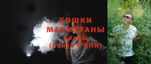 шишки Грязовец