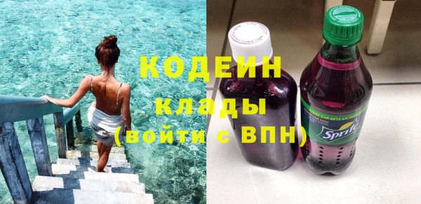крисы Абаза