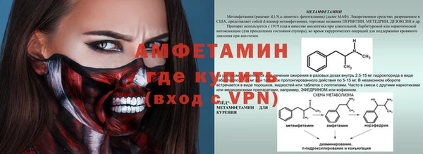 шишки Грязовец