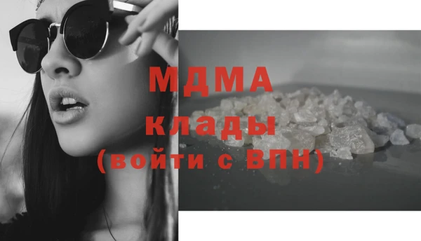 шишки Грязовец