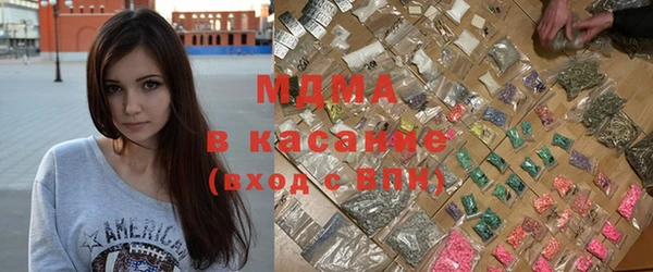 шишки Грязовец