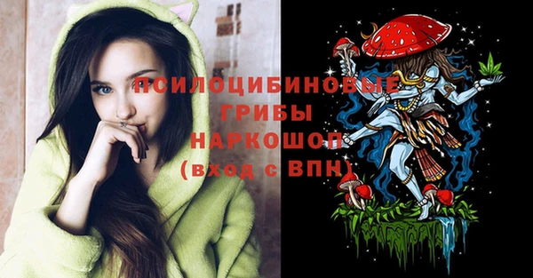 мдпв Губаха
