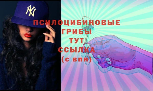 спиды Абинск